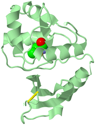 Image Biological Unit 2