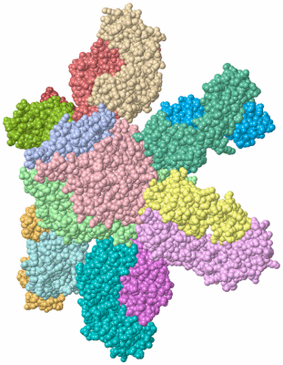 Image Asym./Biol. Unit