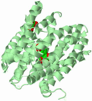 Image Biological Unit 2