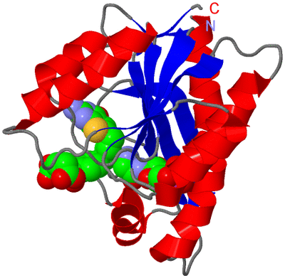 Image Asym./Biol. Unit