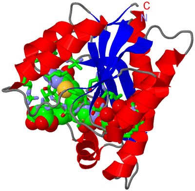 Image Asym./Biol. Unit - sites