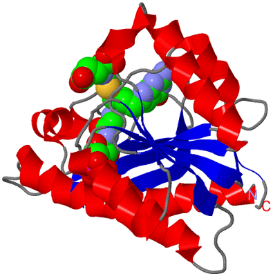 Image Asym./Biol. Unit