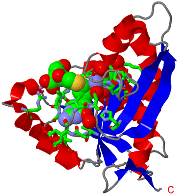 Image Asym./Biol. Unit - sites