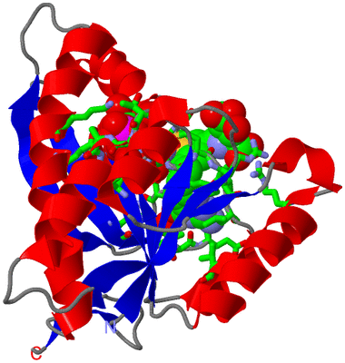 Image Asym./Biol. Unit - sites