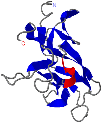 Image Asymmetric Unit