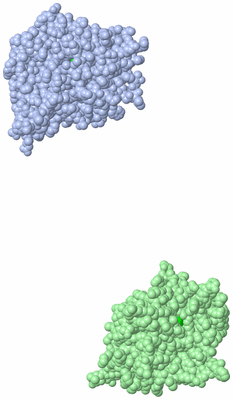 Image Asymmetric Unit