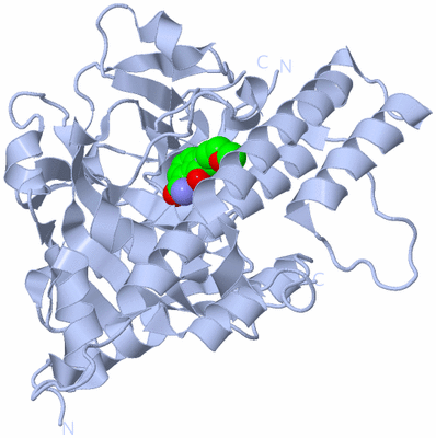 Image Biological Unit 1