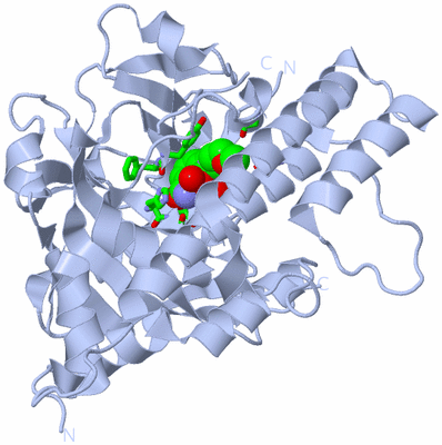 Image Biol. Unit 1 - sites