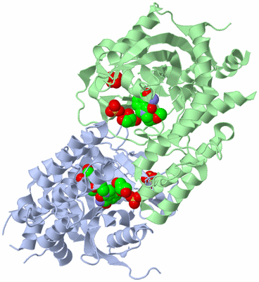 Image Asym./Biol. Unit