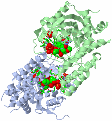 Image Asym./Biol. Unit - sites