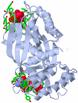 Image Biol. Unit 1 - sites