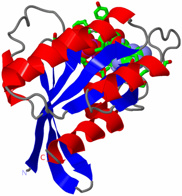 Image Asym. Unit - sites