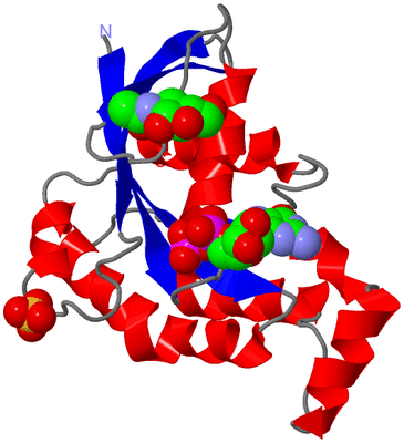 Image Asym./Biol. Unit