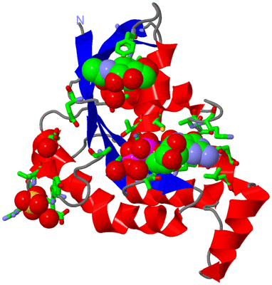 Image Asym./Biol. Unit - sites