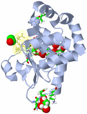 Image Biol. Unit 1 - sites