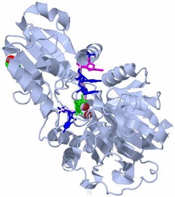 Image Biological Unit 1