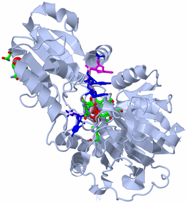 Image Biol. Unit 1 - sites