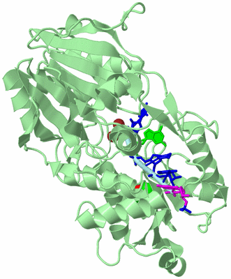 Image Biological Unit 2