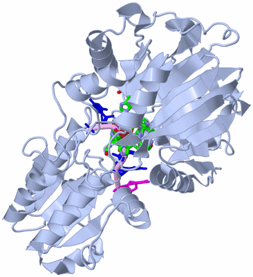 Image Biol. Unit 1 - sites