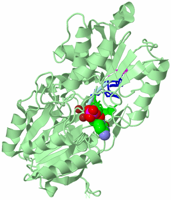 Image Biological Unit 2