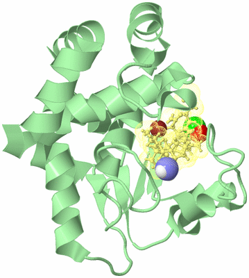 Image Biological Unit 2