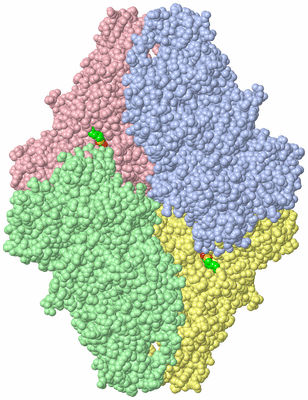 Image Asym./Biol. Unit