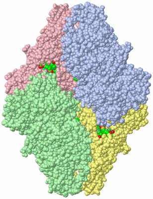 Image Asym./Biol. Unit - sites