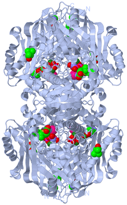 Image Biological Unit 1