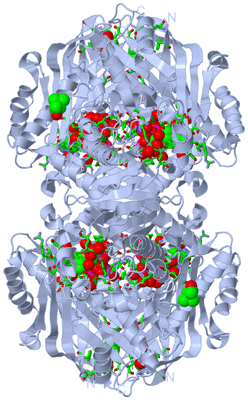 Image Biol. Unit 1 - sites