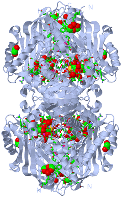 Image Biol. Unit 1 - sites