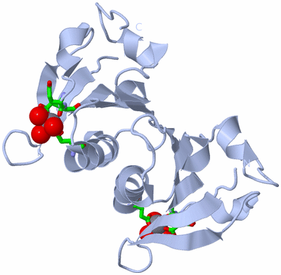 Image Biol. Unit 1 - sites