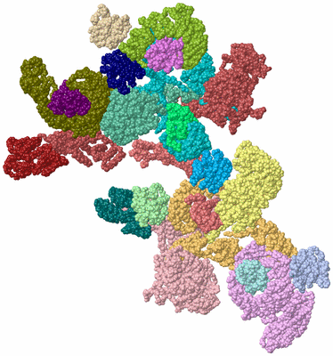 Image Asym./Biol. Unit