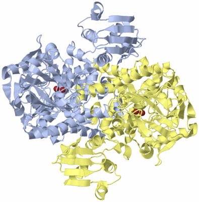 Image Biological Unit 2