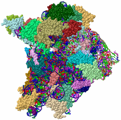 Image Asym./Biol. Unit