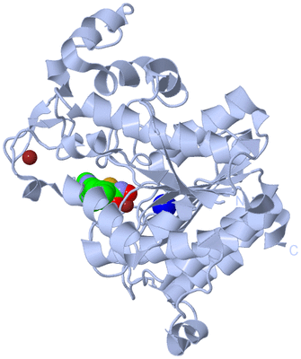 Image Biological Unit 1