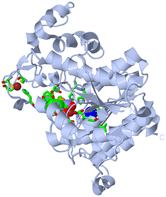 Image Biol. Unit 1 - sites