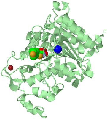 Image Biological Unit 2