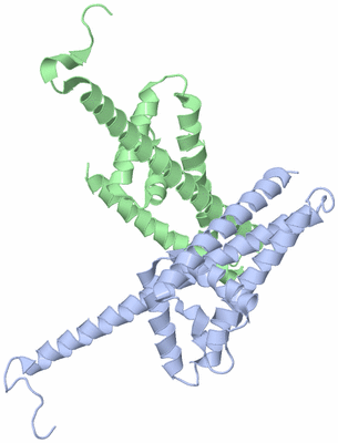 Image Asymmetric Unit