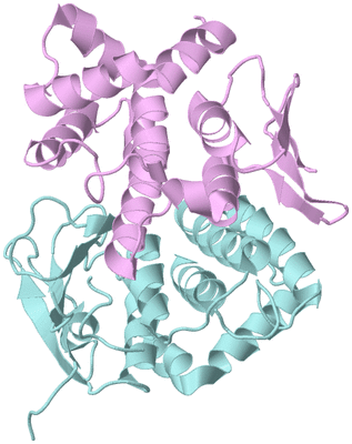 Image Biological Unit 2