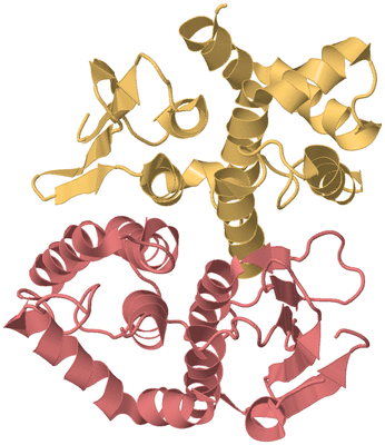 Image Biological Unit 3