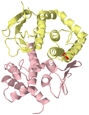 Image Biological Unit 4