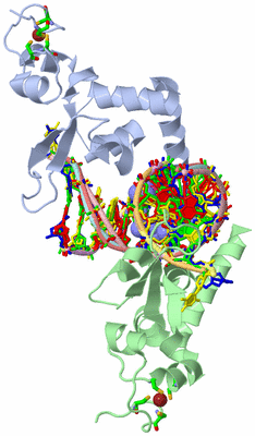 Image Biol. Unit 1 - sites