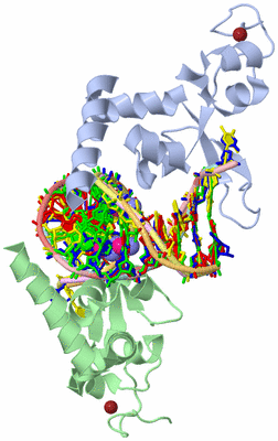 Image Biological Unit 2