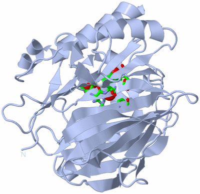 Image Biol. Unit 1 - sites