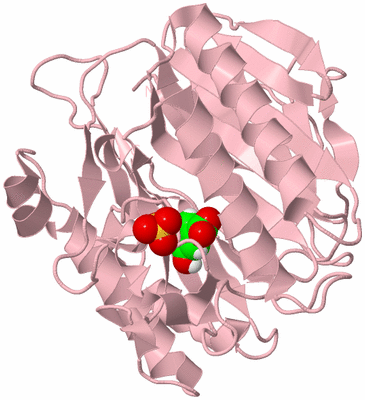 Image Biological Unit 3