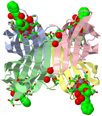 Image Asym./Biol. Unit - sites