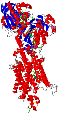 Image Asym./Biol. Unit - sites