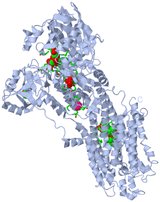 Image Biol. Unit 1 - sites