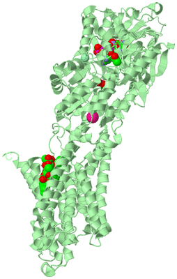 Image Biological Unit 2