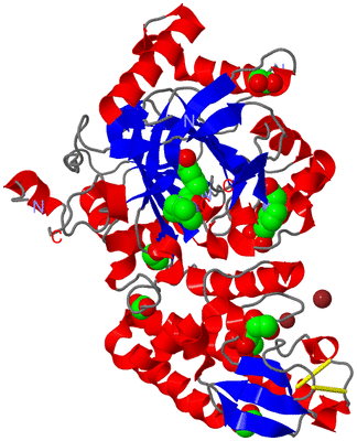 Image Asym./Biol. Unit